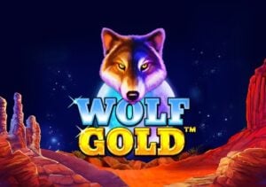 ทดลองเล่น รีวิวสล็อต wolf gold